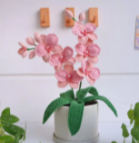 100+ Flower Pattern